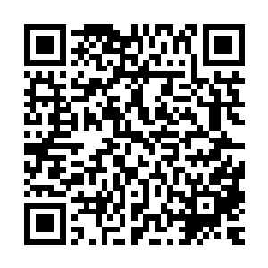 在之前叶海是清楚看到夜染所使用的力量是纯正的天地浩然之力二维码生成