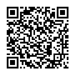 在乎曹荣生死的是那位有着德被万方之称的皇后娘娘二维码生成