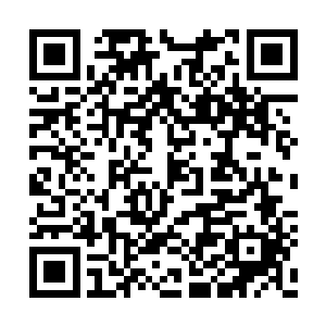 在九域这个没有门派所在的世界还是新奇的东西二维码生成