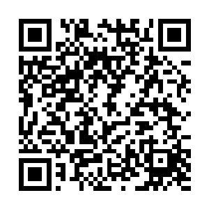 在九天之上自己都能感觉到……若是当真没有见过面二维码生成