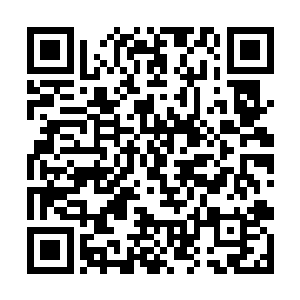 在九离的帮助下梓箐很快就完成自己中心世界的升级二维码生成