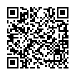 在习惯了为世人供奉神仙的他们眼中确实不值一提二维码生成