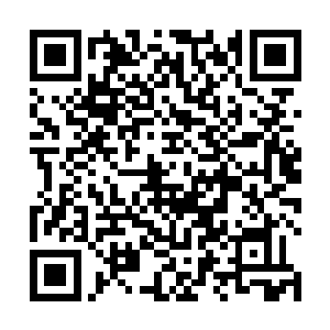 在书案前躬身伺候的王毅兴忙低声阻止夏启帝再说下去二维码生成