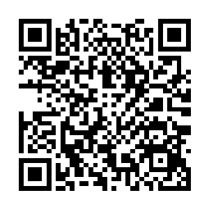 在二十年前还在断魂谷葬送了大夏国的数十万大军二维码生成