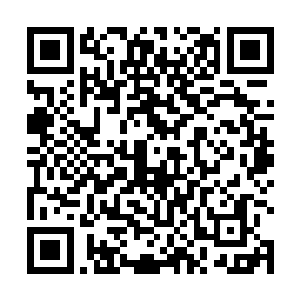 在云家家主和大长老关系不和睦这已经不是什么秘密了二维码生成