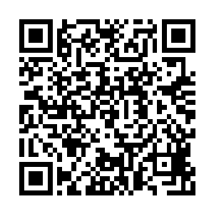 在京城的王长林和苏元他们对此也是尤为的关注二维码生成
