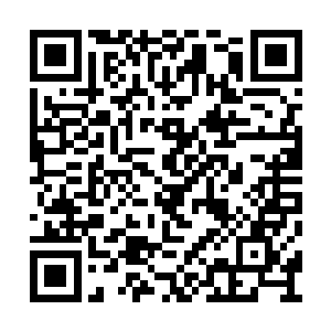 在京都发生的一切远在番疆的叶秋一点都不知道二维码生成