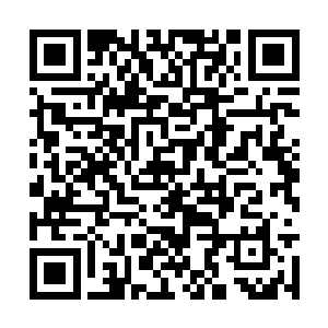 在亲眼目睹安齐远瞬间抹杀了一个已经筑基的魔修二维码生成