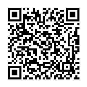 在人体基因组计划还没有完成甚至真正开展的时间里二维码生成