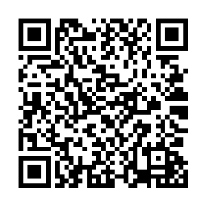 在从刚刚两个孩子的眼神和时不时飘向一旁的康哥的目光二维码生成