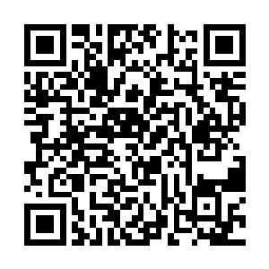 在从张潇晗的身体内收回自身不死之意与筋骨的时候二维码生成
