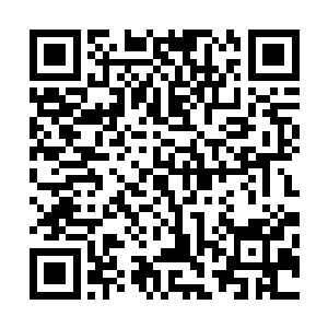 在他从乌云的手中救下那个刚从迷失森林内逃出来不久的人二维码生成