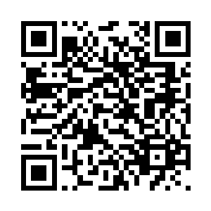 在他们前方二十多米远的一根枝杈上二维码生成