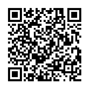 在他们心中那两位种子强者破军和雷虎已经是被秦宇给轰成渣了二维码生成