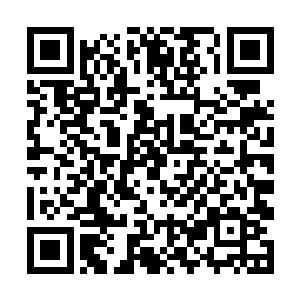 在他们最痛苦最悲愤最仇恨的时候取了他们的心头血二维码生成