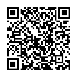 在他们的前方万里之远有着一缕缕生命的气息波动传来二维码生成