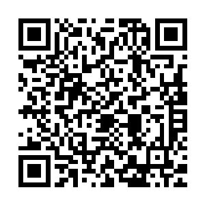 在他们看来已经吃定了的剑尘居然会如此干脆的拒绝他们的庇护二维码生成