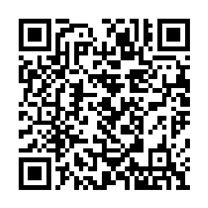 在他们自然之盟里面也可以出现这种层次的巫师二维码生成