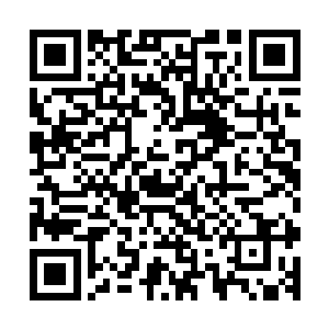在他们身边一直有一个小男孩子全身湿漉漉的跟着他们看热闹二维码生成