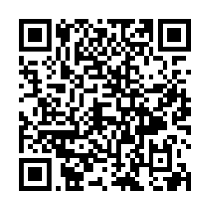 在他周围的那一百名兵马俑已经忽然就全部凝固了动作二维码生成