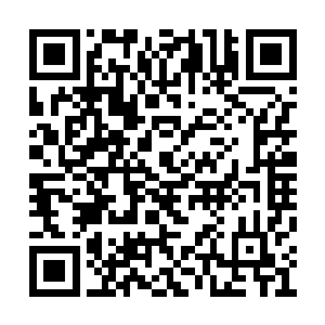 在他心理以为五岳法只是制造一个个巨大的山峰二维码生成