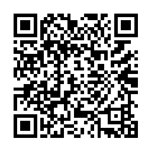 在他旁边的书架里放满了他前世阅读过的所有中医书籍二维码生成