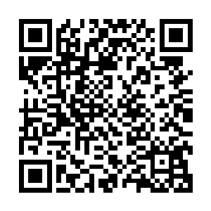 在他理想的时间里应该是他和晏晨恩恩爱爱一年以后才有孩子二维码生成