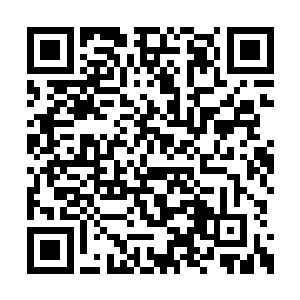 在他的心中认为一定是许紫烟在掩饰自己的修为二维码生成