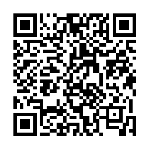在他的背后出现了一个七窍玲珑心的虚像开始缓慢地旋转二维码生成