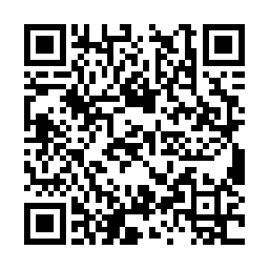 在他的身后是一个一身灰色长袍的满脸阴沉的老者二维码生成