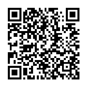 在他的边上还有一些打碎的饭菜他的手臂也被玻璃给划破了一些二维码生成