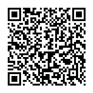 在他看来要是这名散仙高手向他出手的话他肯定没有任何办法活下去二维码生成