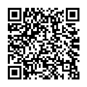 在他眼中高高在上的九级高手竟然被一个小孩一招击飞二维码生成