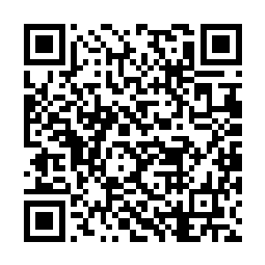 在他自己没有彻底搞清楚战之本源到底是何种等级二维码生成