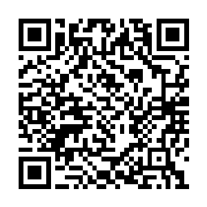 在他自杀之前就把小白从须弥天下中召唤了出来二维码生成