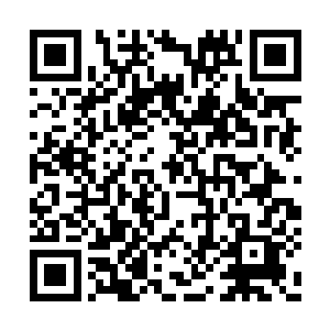 在他认为既然这玫瑰花每一枝都含有爱意的意思二维码生成