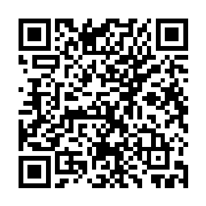 在他走过来的时候直接一跃而起从床上扑到了他的身上二维码生成