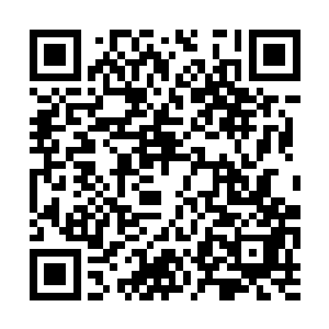 在他身前凝聚成了一颗植物种子一样的银白色形状二维码生成