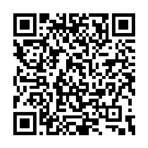 在他身后的樱鬼族群有的承受不住这莫大的压力二维码生成