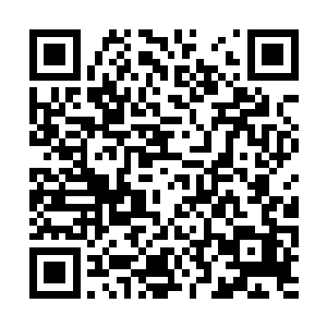 在他身边两个花枝招展的侍女诚惶诚恐的立在一旁二维码生成