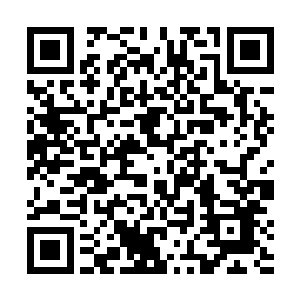 在他颈项衣领下掩盖的那颗墨绿珠子隐隐闪过一丝弱光二维码生成