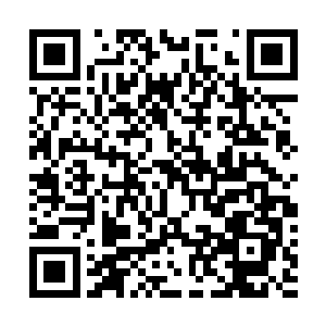 在以前主宰还能争夺三生石的时候来百断之地争夺三生石二维码生成