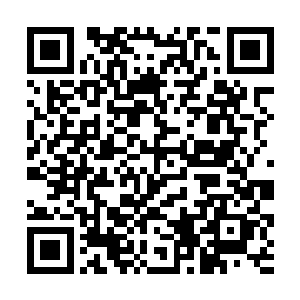 在仪阳港外面的那些来自太夏的百万吨级的巨舰面前二维码生成