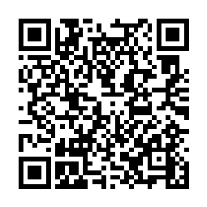 在伊莎贝尔拉着那个年轻牧师的手一路飞奔的时候二维码生成