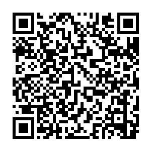 在众人惊讶的目光中格里斯竟然一下子经那只海兽拽着触手给拖了起来二维码生成