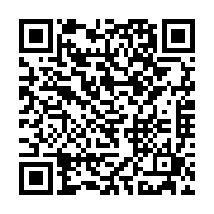 在众人眼中强得可怕的暗卫们两三下就被人分尸碾碎二维码生成