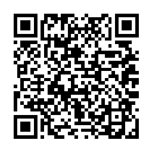 在众仙人都惊呆了的看着那胆子忒肥的少年的时候二维码生成