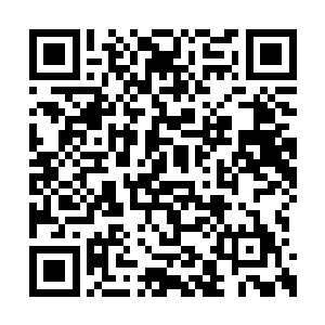 在众妃嫔对谢皇后和淑妃娘娘娘避之不及的时候二维码生成