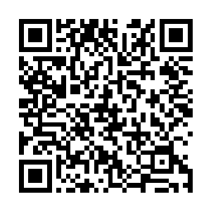 在会试之前偷偷收集翰林诸公文稿这种行为很有点不够君子二维码生成