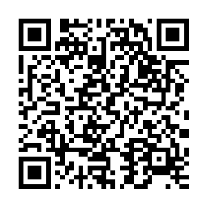 在体力用尽的时候服下一颗回力丹可以恢复百分之八十的体力二维码生成